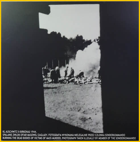 Burning Bodies